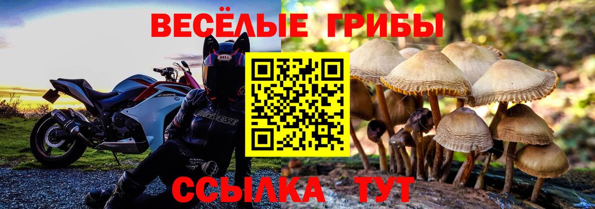 Псилоцибиновые грибы Cubensis  Вход с VPN  Глазов  Галлюциногенные грибы GOLDEN TEACHER 